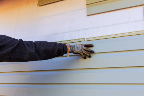 Best Steel Siding Installation  in Savanna, IL